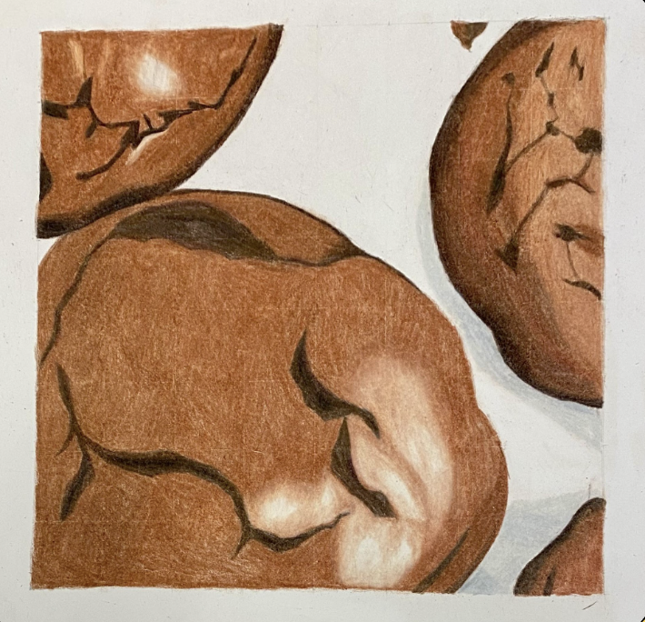 Drawn From Scratch