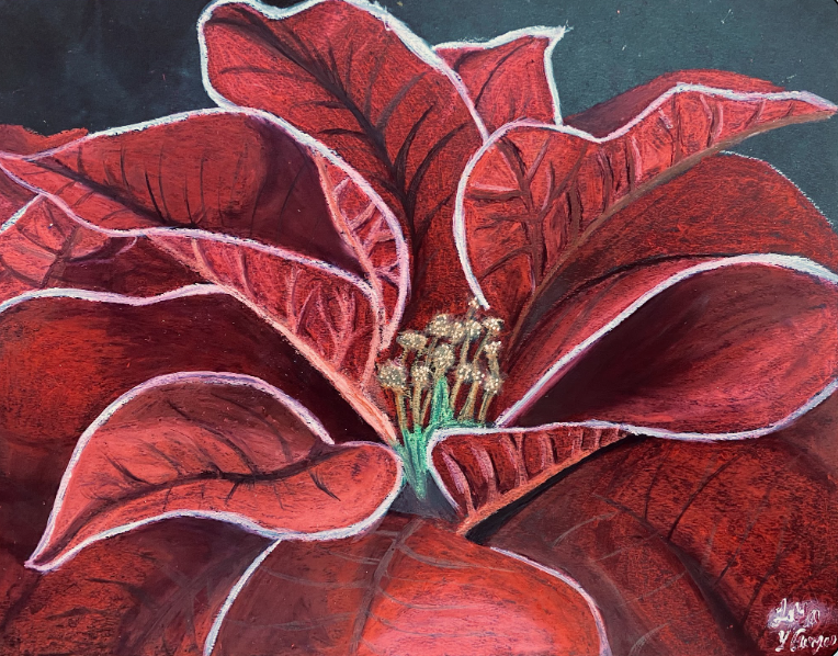 The Winter Rose